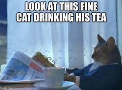 Image result for Cat Drinking Tea Meme