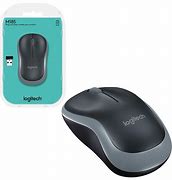Image result for Mouse with Gray and White Filternt
