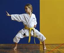 Image result for Tye Cheney the Type of Karate