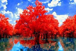 Image result for Fall Scenery Desktop