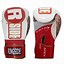 Image result for Sparring Gear