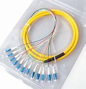 Image result for Optical Fiber Bundle