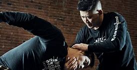 Image result for Systema