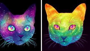 Image result for Mystical Cat Galaxy