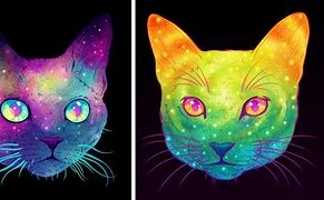 Image result for Psychedelic Space Cats