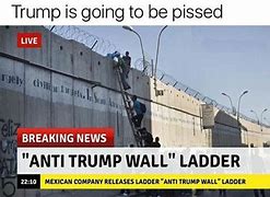 Image result for Border Wall Ladder Meme