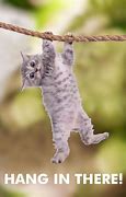 Image result for Funny Inspiring Cat Posters