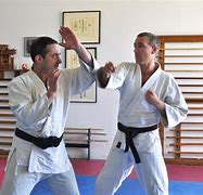 Image result for aikido vs martial arts