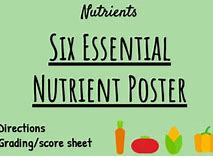 Image result for Nutrients Poster