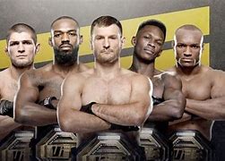 Image result for UFC Fighting Styles