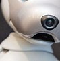 Image result for Sony Robotic Dog