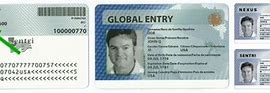 Image result for Nexus Card Pass ID Image