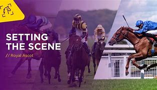 Image result for Horse Raceing at Ascot