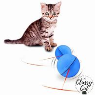 Image result for Cool Cat Toys