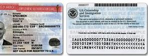 Image result for Front and Back of a Work Permit