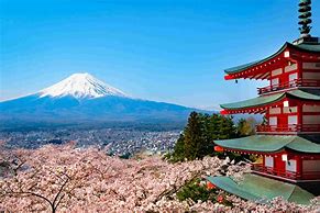 Image result for Mount Fuji Park