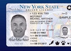Image result for Real Drivers License ID