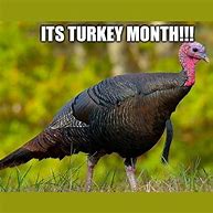Image result for Stuffing Turkey Meme