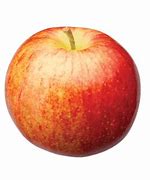 Image result for Michigan Apples Varieties