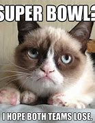 Image result for Best Grumpy Cat Memes Clean