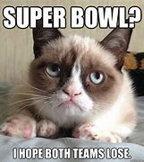 Image result for Top Grumpy Cat Memes