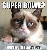 Image result for Pictures of Grumpy Cat Memes Clean