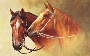 Image result for Vintage Horse Drawings