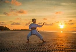 Image result for Martial Arts Types List