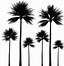 Image result for Group of Palm Trees Silhouette