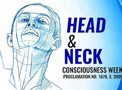 Image result for Head and Neck Consciousness Week