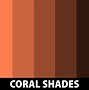 Image result for Soft Coral Color