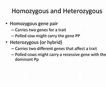 Image result for Homozygous Gene