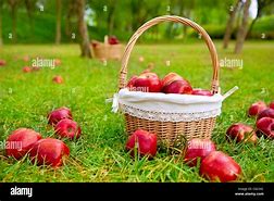 Image result for Iffering an Apple From Basket
