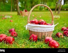 Image result for Red Apple Basket