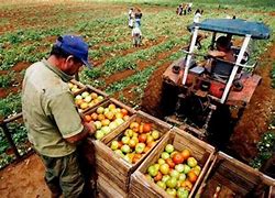 Image result for agroprcuario