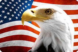 Image result for Patriotic American Eagle Decals
