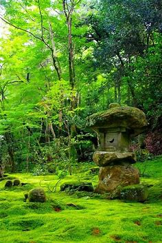 Charming moss garden ♥ | 日本庭園, こけ庭, 庭作りのアイデア
