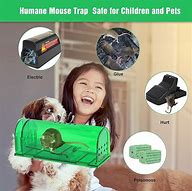 Image result for Sharp Mouse Trap