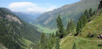 Image result for alpecy�n