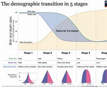 Image result for 8 Stages of BDD