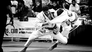 Image result for Jiu Jitsu Fighting Style