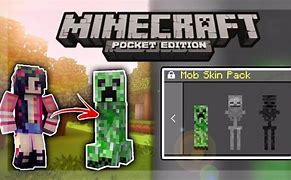Image result for Mcpe Mob Skin Pack