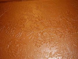 Image result for Muddy Drywall Texture