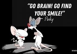 Image result for Pinky Brain Quotes