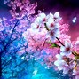 Blossom Tree 的图像结果
