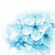 Image result for Blue Flowers On White Background