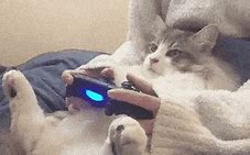 Image result for Sad Gaming Cat Meme