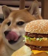 Image result for Doge Meme STL