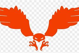 Image result for Hawk Photos Free