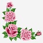 Image result for Boarder Line Pink Rose
